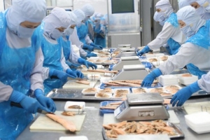 Năm 2020: Xuất khẩu thủy sản có thể đạt 8,4 tỷ USD