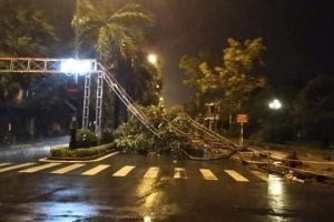 7 người thương vong do bão số 9 ở Quãng Ngãi