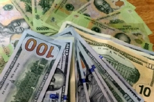Tỷ giá ngoại tệ ngày 29/10: Đồng USD tăng trở lại