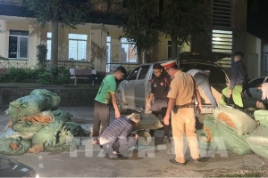 Cao Bằng: Bắt gần 800kg thuốc lá nguyên liệu không rõ nguồn gốc xuất xứ