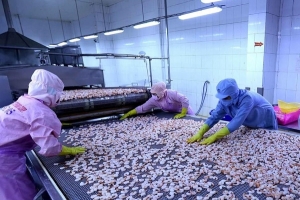 Chịu tác động của Covid -19, xuất khẩu hàng hóa cả nước vẫn đạt tăng trưởng dương