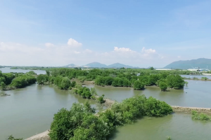 Cộng đồng mạng quyết tâm ‘phủ xanh’ mạng xã hội và câu chuyện dễ thương