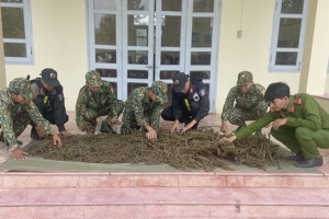 An Giang: Phát hiện bắt giữ gần 12 kg thảo mộc, nghi là cần sa