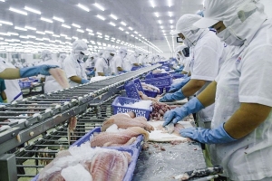 Thủ tướng chỉ đạo nghiên cứu sửa đổi quy định về mã số mã vạch nước ngoài cho hàng xuất khẩu