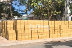 An Giang: Bắt giữ hơn 800 nghìn khẩu trang y tế không rõ nguồn gốc
