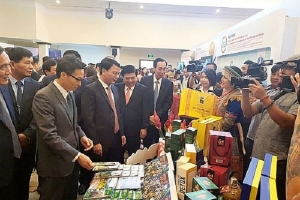 Hội nghị liên kết hợp tác phát triển du lịch giữa TP Hồ Chí Minh và 8 tỉnh Tây Bắc