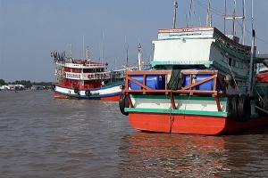 Cà Mau: Quản lý dữ liệu tàu cá từ phần mềm Vnfishbase