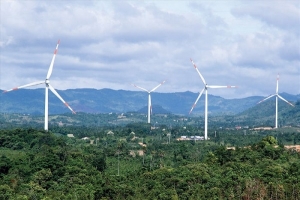 Gia Lai: Đầu tư xây dựng nhà máy điện gió 50 MW
