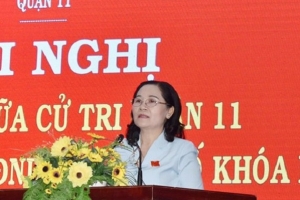 TPHCM: Nâng cao hiệu quả giám sát của HĐND