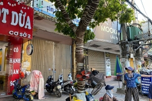 Hải Phòng: Thanh lý, chấm dứt hợp đồng thuê nhà vì tự ý phá dỡ nhà thuộc ở hữu nhà nước