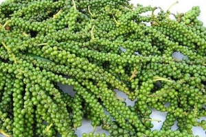 Giá tiêu ngày 1/12: Dao động trong khoảng 56.000 - 59.000 đồng/kg