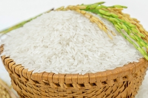 Giá lúa gạo hôm nay 1/12: Giá lúa tiếp đà tăng
