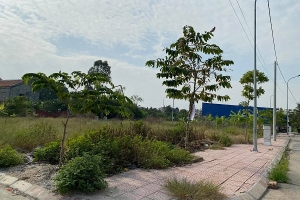 Hải Phòng: Nhiều khu đất đấu giá bỏ hoang cỏ mọc vì bị “thổi” giá