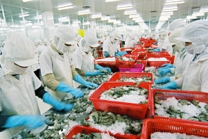 Việt Nam xuất siêu lớn vào thị trường UAE trong 08 tháng đầu năm