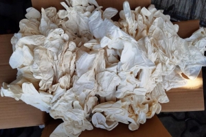 Làm rõ vụ 2 container găng tay y tế đã qua sử dụng nhập khẩu từ Trung Quốc