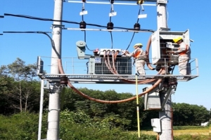 Công ty Điện lực Bắc Giang: Triển khai nhiều hoạt động ý nghĩa trong tháng Tri ân khách hàng
