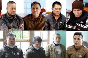 Quảng Bình: Khởi tố chủ doanh nghiệp và nhóm “lâm tặc”