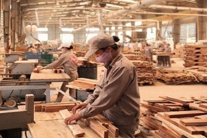 Doanh nghiệp chủ động ứng phó với các biện pháp phòng vệ thương mại