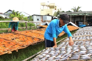 Đồng bằng sông Cửu Long: Tất bật khẩn trương tạo ra nhiều sản phẩm cung ứng cho thị trường tết