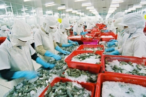 Doanh nghiệp mong mỏi giảm các điều kiện cho vay để tiếp cận gói hỗ trợ lãi suất 0%