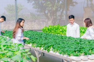 Đào tạo nguồn nhân lực nông nghiệp công nghệ cao: Tập trung giải quyết 5 vấn đề lớn