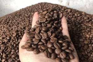 Giá cà phê ngày 27/12: Tăng 100 - 200 đồng/kg so đầu tuần