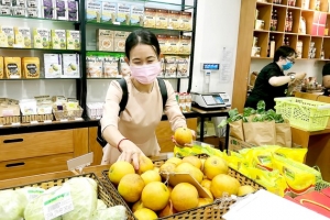 Chú trọng đầu tư xứng tầm cho thực phẩm organic