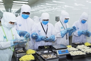 Xuất khẩu thực phẩm chế biến: Cần thực hiện nghiêm chỉnh hơn nữa các quy định về vệ sinh an toàn thực phẩm