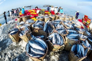 Năm 2019, xuất khẩu thủy sản của cả nước giảm 2,3%