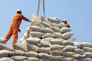 Cấp thêm 47 giấy chứng nhận đủ điều kiện kinh doanh xuất khẩu gạo