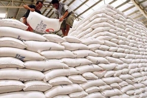 Xuất gạo dự trữ quốc gia cho 2 tỉnh Cao Bằng và Bình Định