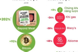 Các loại tài sản tăng mạnh nhất năm 2019