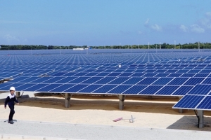 Thủ tướng đồng ý bổ sung dự án điện mặt trời 450 MW vào quy hoạch