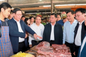 Nghệ An: Phó Thủ tướng Vương Đình Huệ thị sát thị trường hàng hóa dịp Tết