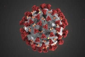Ninh Bình: Khẳng định chưa có trường hợp nhiễm virus Corona nào trên địa bàn