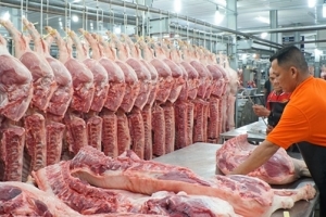 Nhập khẩu hơn 4.500 tấn thịt lợn trong tháng 1/2020