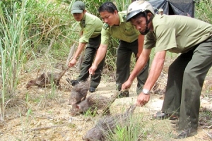 Thanh Hóa: Siết chặt quản lý việc vận chuyển, tiêu thụ các loài động vật hoang dã trái phép