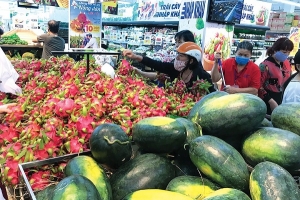 Đa dạng hóa thị trường xuất khẩu: Mục tiêu trước mắt và lâu dài