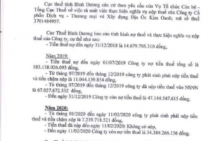 “Chây ỳ” đóng thuế, địa ốc Kim Oanh đang nợ hàng chục tỷ đồng