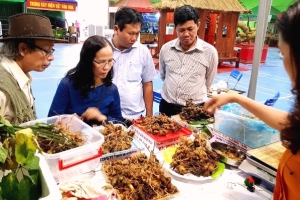 Quảng Nam: Phiên chợ thương hiệu sâm Ngọc Linh lần thứ 30 đạt doanh thu 5,7 tỷ đồng
