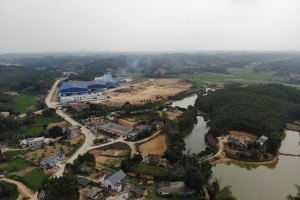 Cận cảnh nhà máy chế biến gỗ gây ô nhiễm tại Phú Thọ, người dân bức xúc