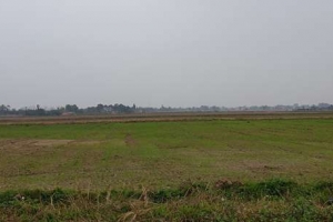Xã Phú Xuân (Vĩnh Phúc): Nguy cơ lỡ vụ Chiêm Xuân đang hiện hữu