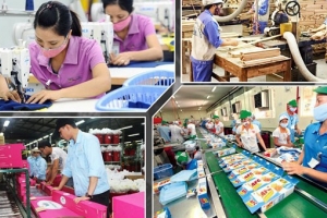 Bộ Tài chính: Trình Chính phủ Nghị định gia hạn thuế cho doanh nghiệp