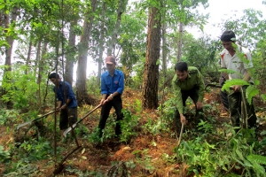 “Tết trồng cây” và tăng cường công tác bảo vệ, phát triển rừng ngay từ đầu năm 2021