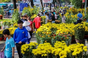 Cung ứng hơn 1 triệu giỏ hoa cho thị trường Tết Nguyên đán 2021