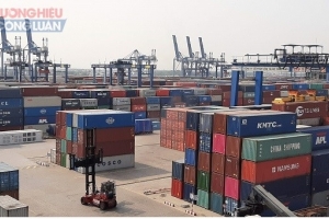 Hải quan TP. HCM phát hiện, thu giữ hơn 51 kg ma túy các loại trong năm 2020