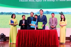 Thanh Hóa: Triển khai Chương trình “Phúc lợi cho đoàn viên và người lao động”