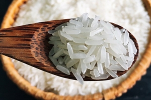 Nghiên cứu quy trình để giống gạo ST thành thương hiệu gạo thơm Việt Nam