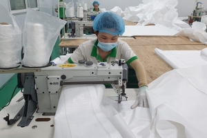 Phiên họp thứ nhất Ủy ban Hỗn Hợp Việt Nam Đức về Hợp tác kinh tế