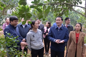 Thanh Hóa : Đẩy nhanh xây dựng bản đồ nông hóa thổ nhưỡng